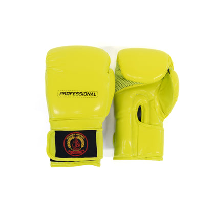 Adult Boxing Gloves